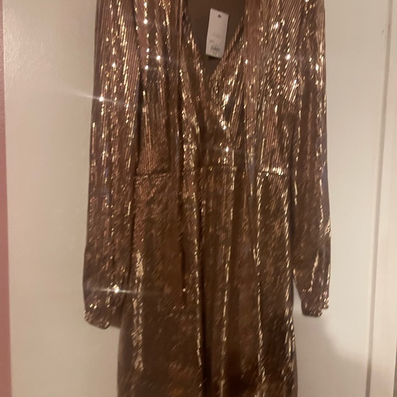 Cara Santana by Nine West. Beautiful gold sequins dress with matching belt. - Picture 7 of 12